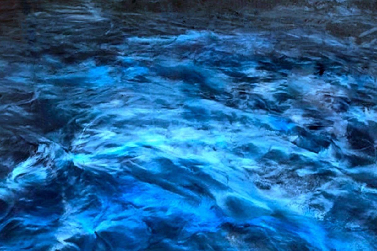 Blue metallic floor detail